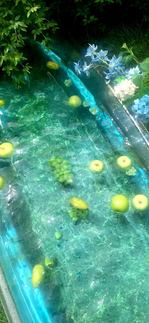 绿色壁纸 ins风壁纸 锁屏