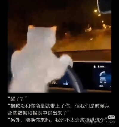 我是不会放弃收集这种图片的