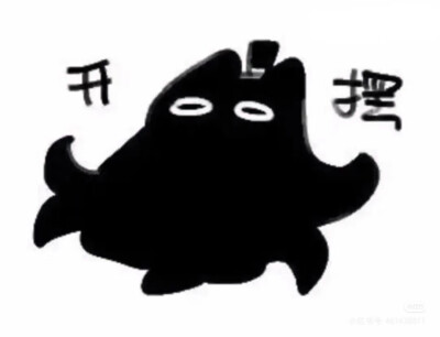 克猫猫表情包