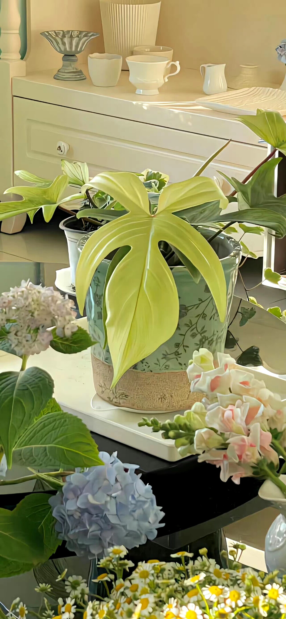 绿色壁纸 ins风壁纸 锁屏