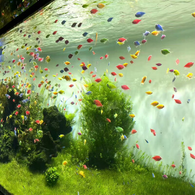 #背景图#杂图#有一点喜欢