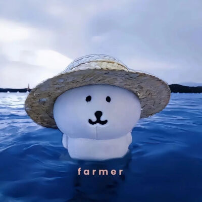 自嘲熊头像