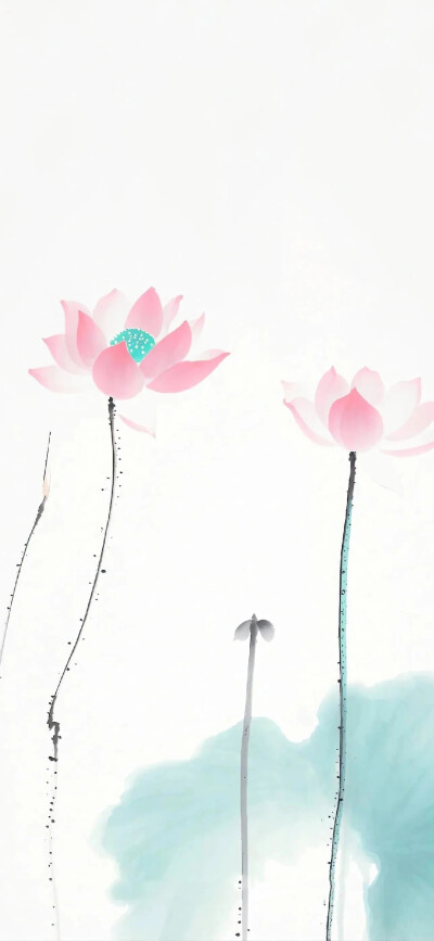 壁纸