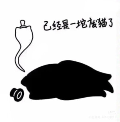 克猫猫表情包