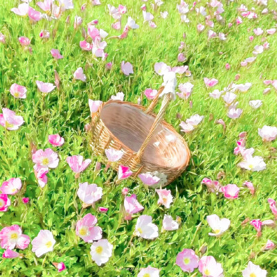 花仙子stunning beauty* - 천녀하강.心が動く