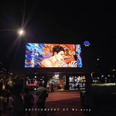 哇，是雄狮少年啊