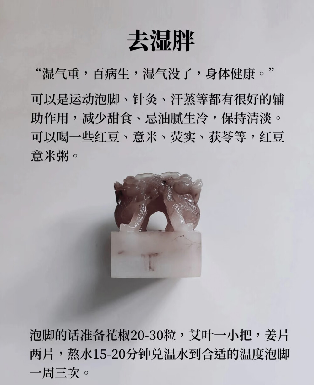 阳光健康～气血@脾胃