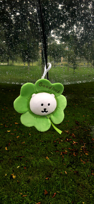 绿色壁纸 ins风壁纸 锁屏