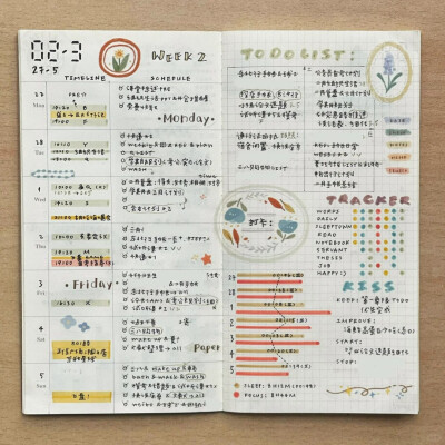 帕瑞斯安 小红书号：294193535（小红书博主）