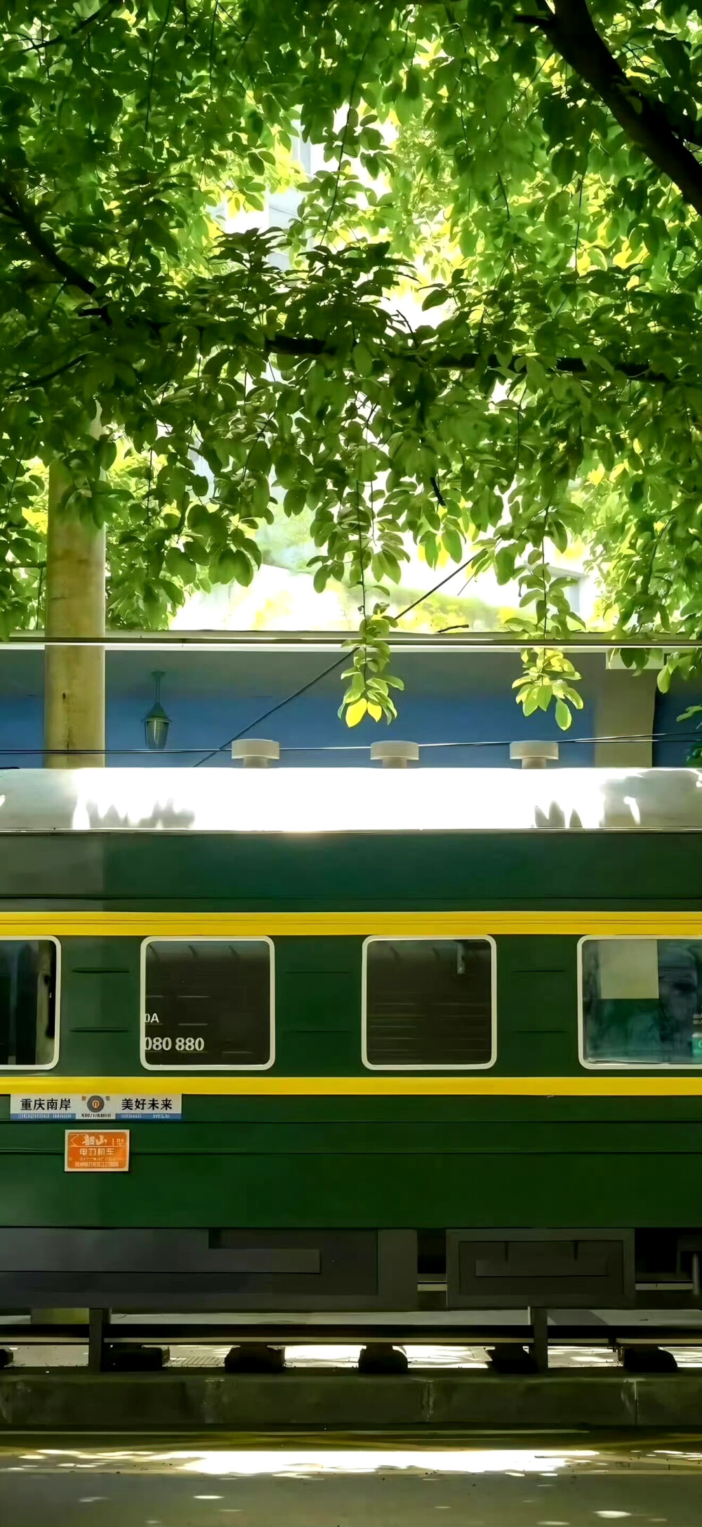 绿色壁纸 ins风壁纸 锁屏