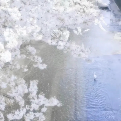 你说蓝色是你最爱的颜色