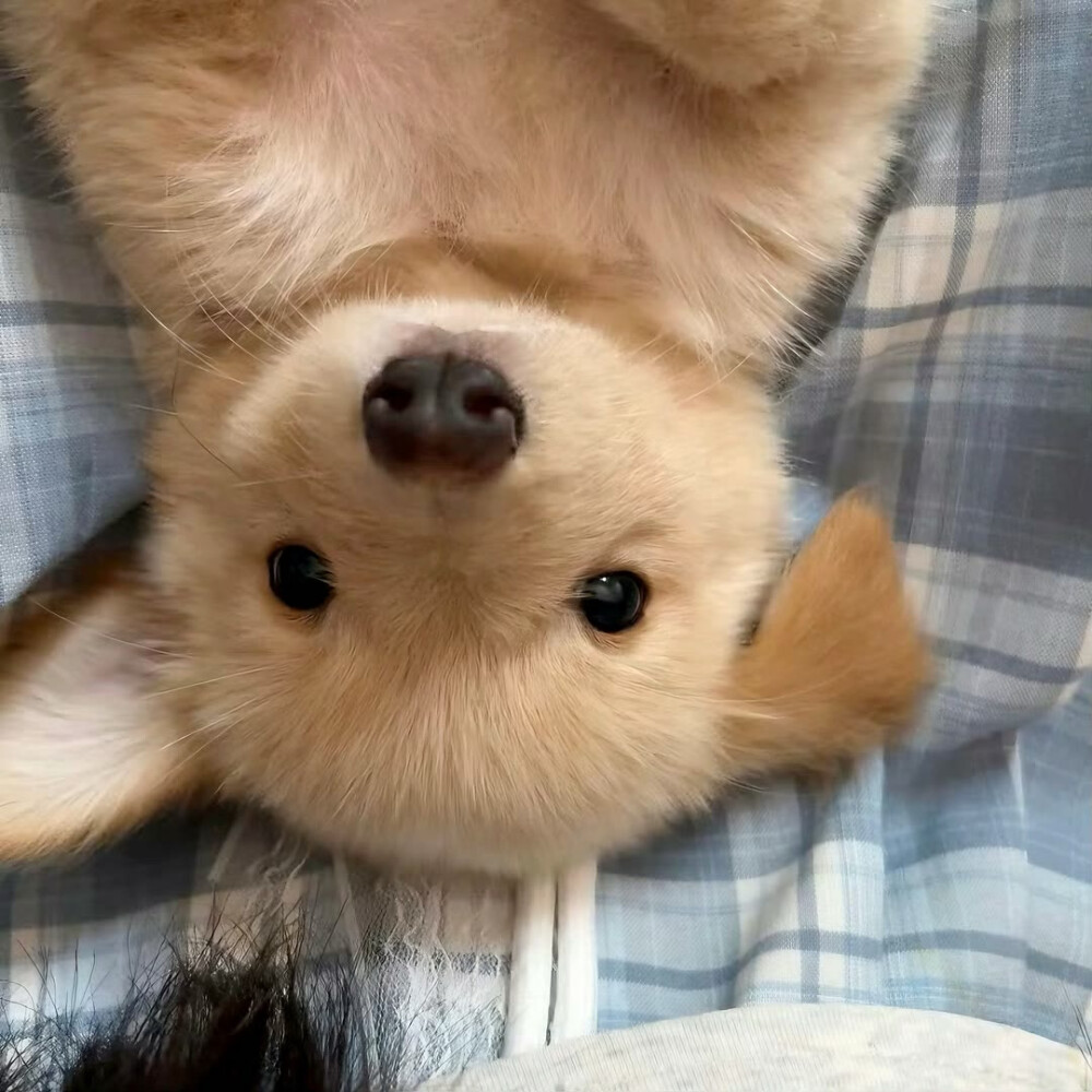 图源ks：偷喝汽水
