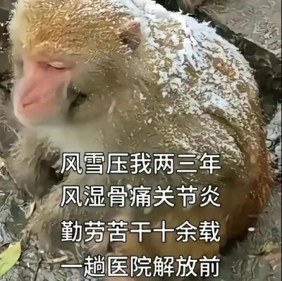 表情包
