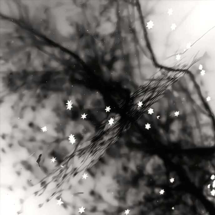  泪水打湿小面包 不会再中你的招˶˃ ᵕ ˂˶