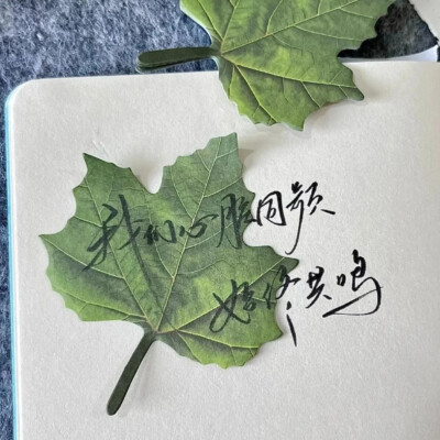 背景图