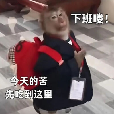 表情包