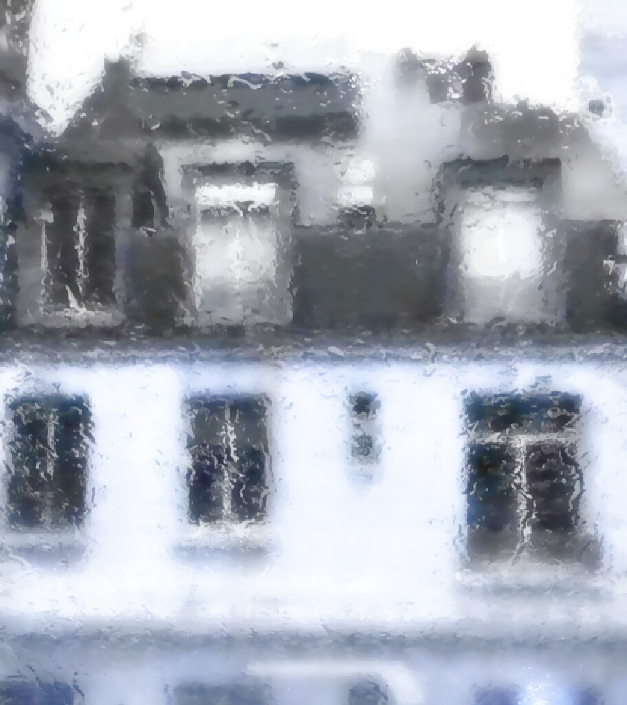 ˖˚♡⊹kiku⊹˚. ˖