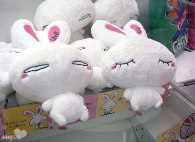  （₌᳐⌯'ᵕ'⌯ ₌᳐）
