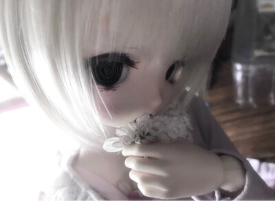 ⋆.˚⭒⋆.˚