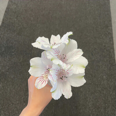 小众背景图 ins背景图 白色系背景图