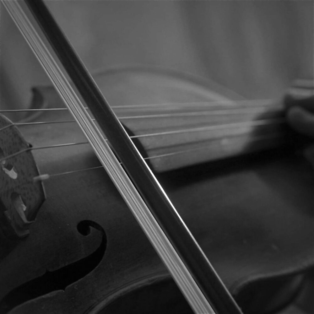 
大概就是抢到了这个杯子兔的图吧