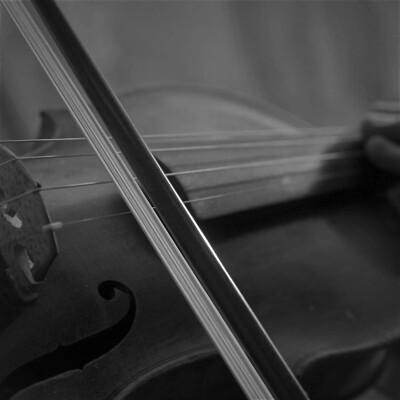 
大概就是抢到了这个杯子兔的图吧