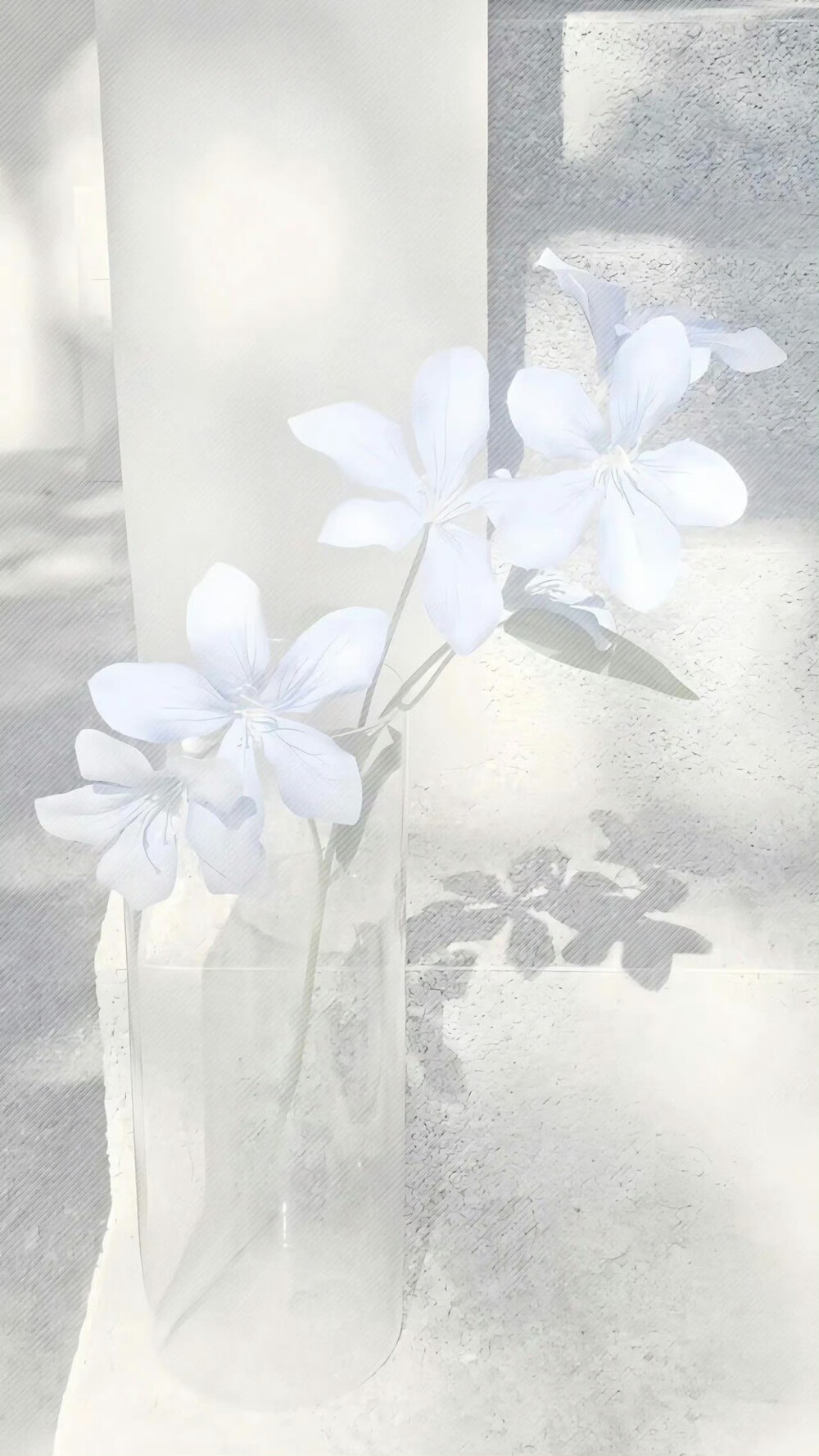 壁纸