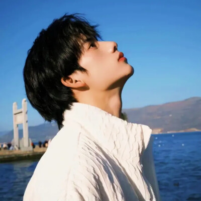 男头