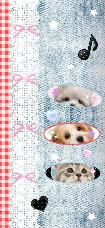 壁纸