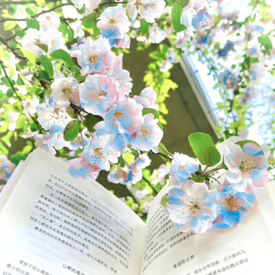 (しおれた花)…痴人荒春·Deserted