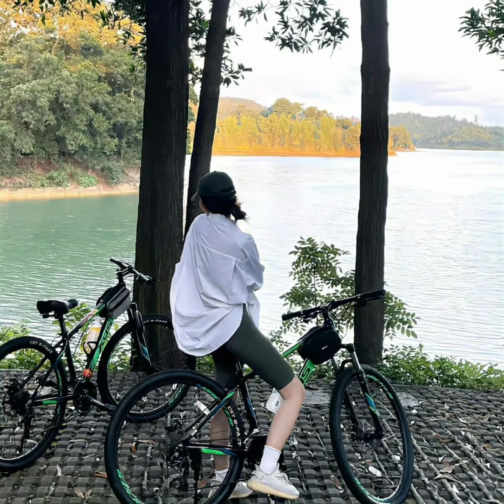 壁纸