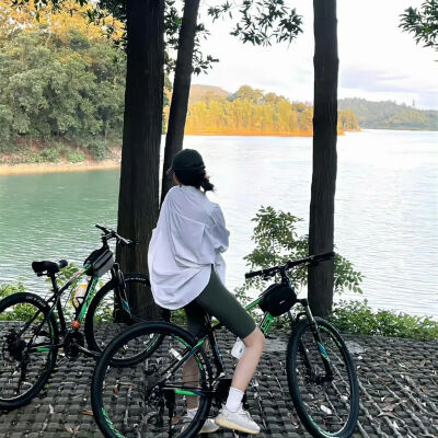 壁纸