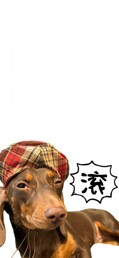 壁纸
