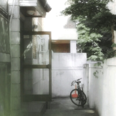 借来的猫 初次渗入心脏的呼吸