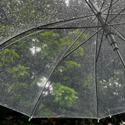 
消失的下雨天
