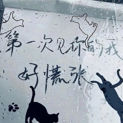 背景图