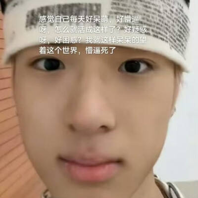 世界欠我一个解释
