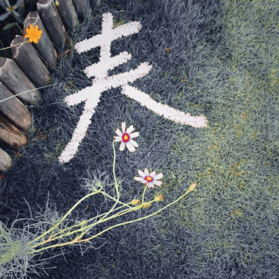 阳光穿透树叶 世界穿透夏天‧₊˚⸝⸝꙳
虞书欣
起司名札