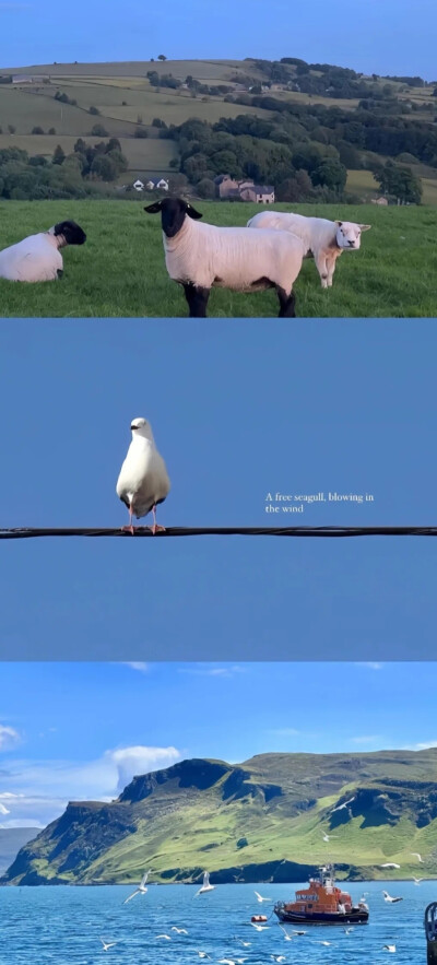 壁纸