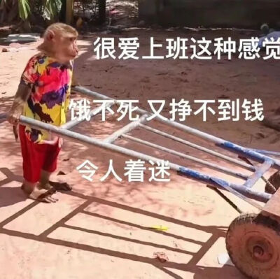 表情包