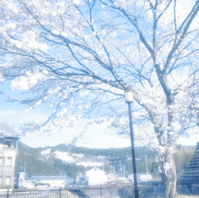 
！恋爱频率告急！♡ ​蓝色西柚♬ ♬ Бьющее сердце