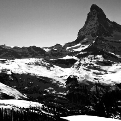 古山上 诞生沾满雪的花蕊