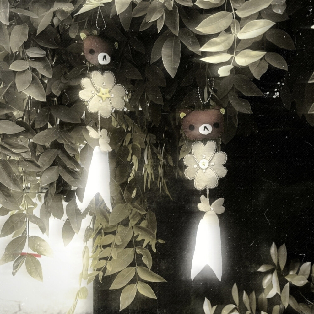 红雨瓢泼泛起了回忆怎么潜