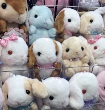  （₌᳐⌯'ᵕ'⌯ ₌᳐）
