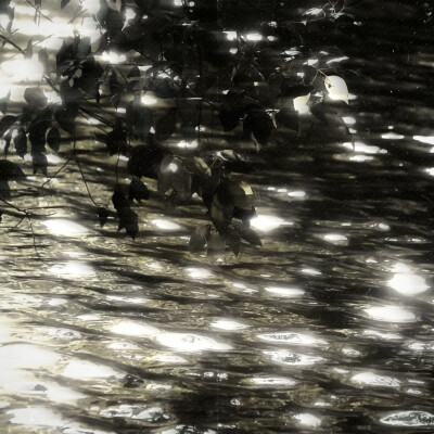 红雨瓢泼泛起了回忆怎么潜