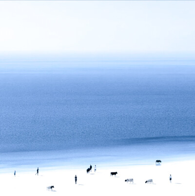 少年没有乌托邦，心向远方自明朗。