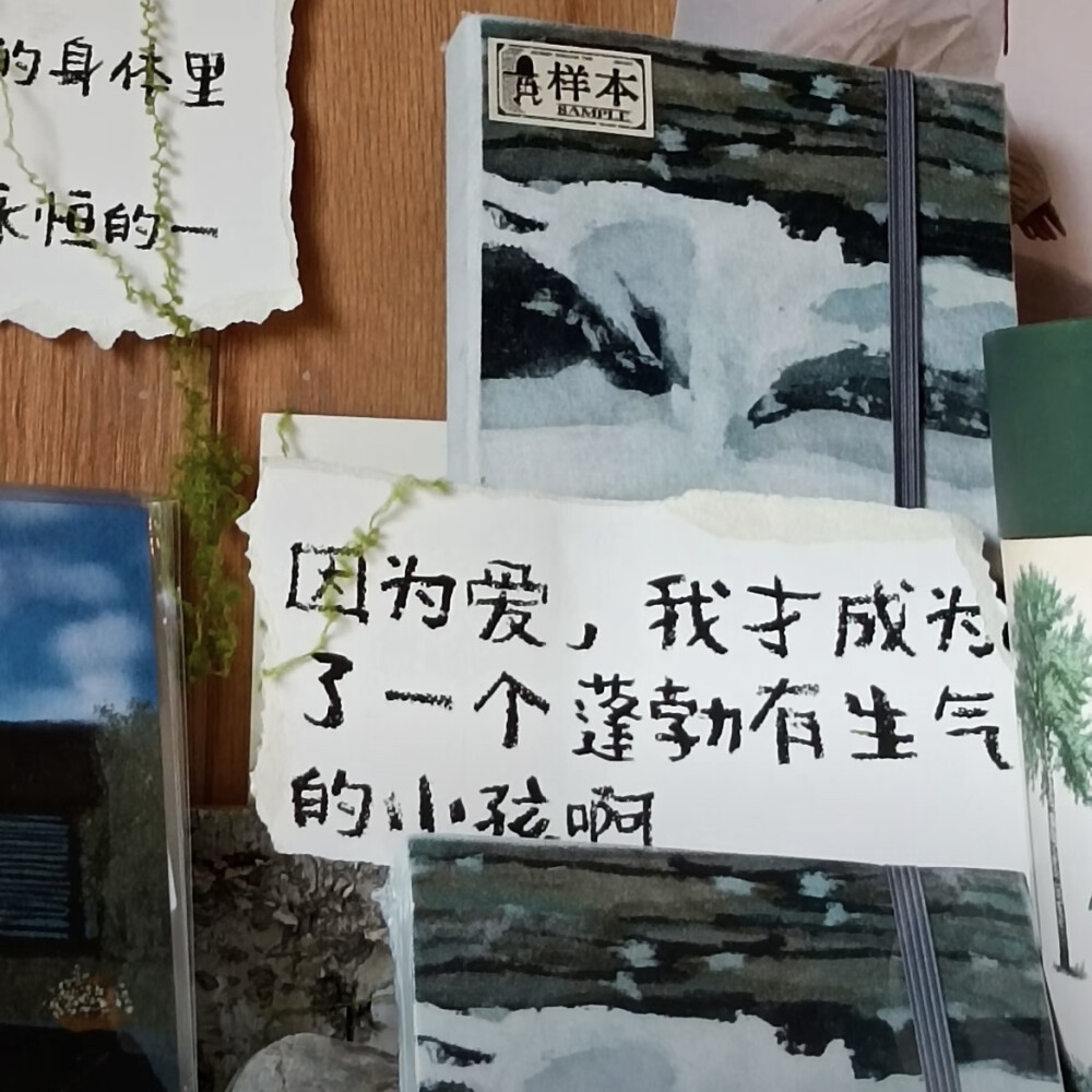 XIAOGOU 