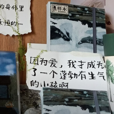 XIAOGOU 