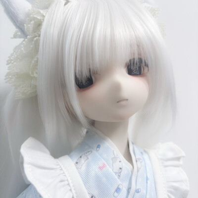 bjd