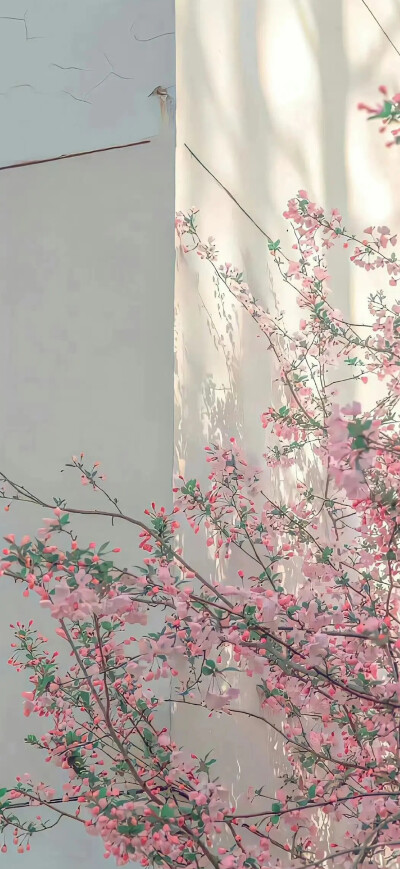 好